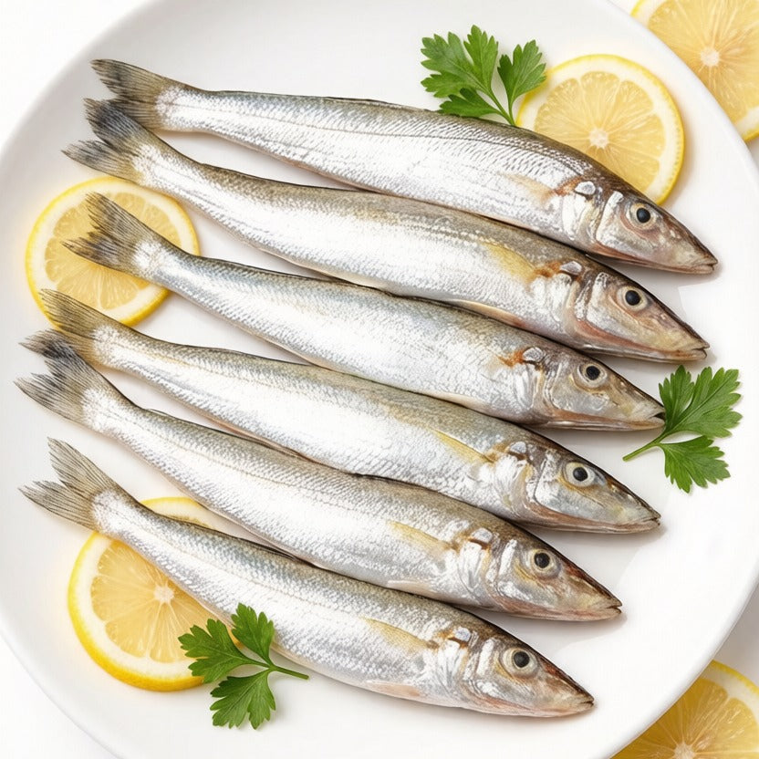 Sardine