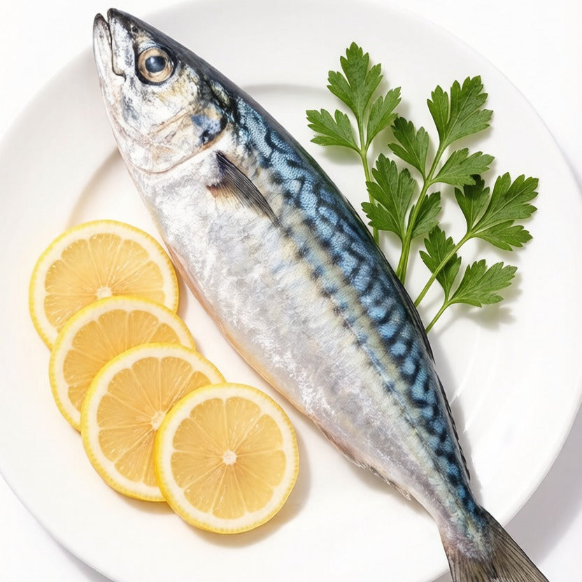 Mackerel