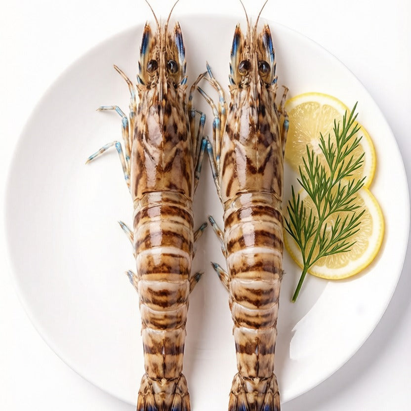 Tiger Prawn
