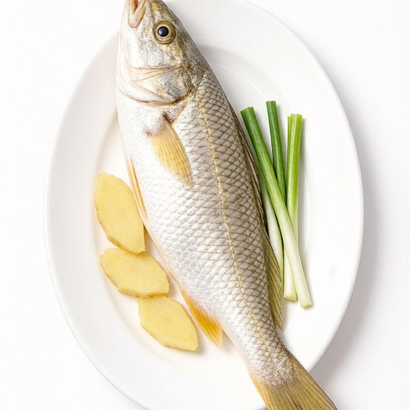 Yellow Croaker