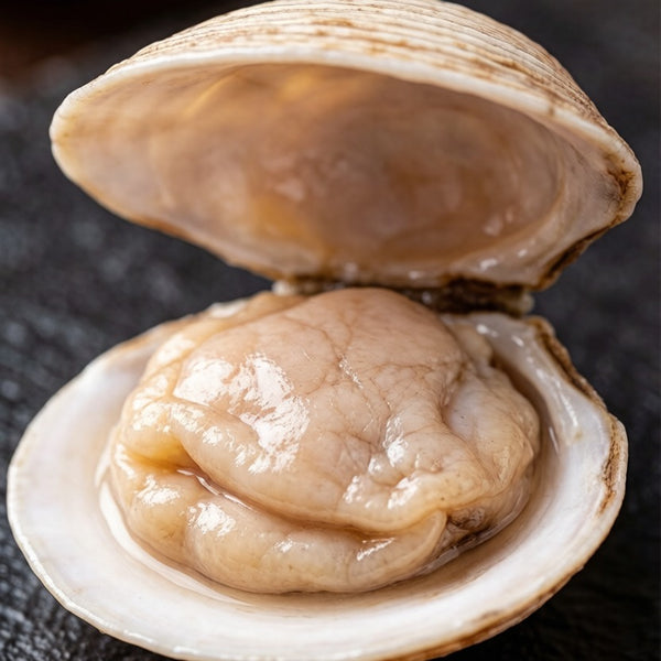 Hard Clams