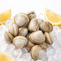 Hard Clams