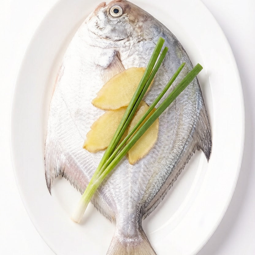 Silver Pomfret