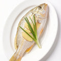 Yellow Croaker