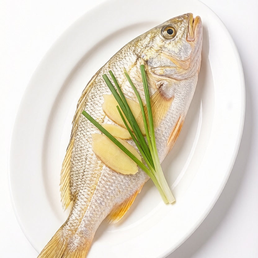 Yellow Croaker