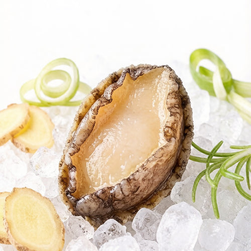 Abalone